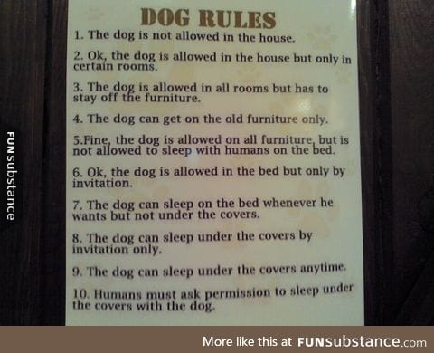 Dog Rules-A sign at our local animal hospital