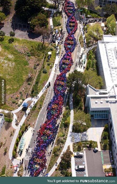 2600 people form a chain to celebrate the anniversary of dna