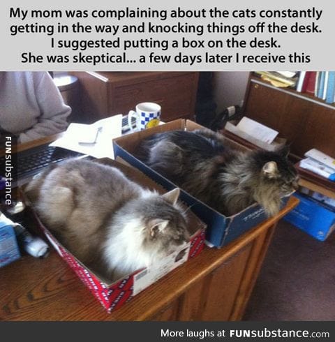 Cat traps