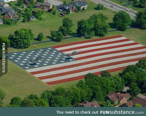 This family paints their lawn every year for Independence Day