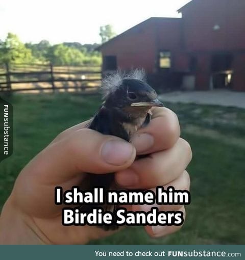 Birdie Sanders