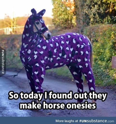 Well, it could have been a pony onesie