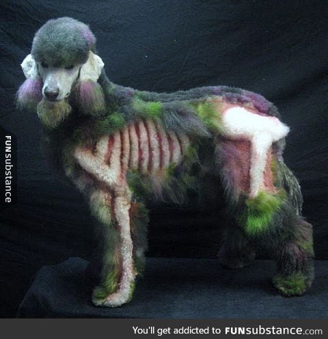 Ever seen a zombie poodle?