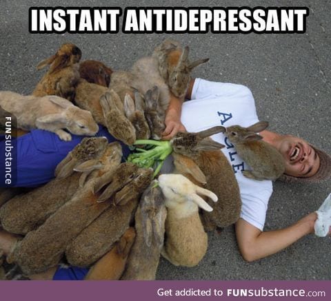 Bunnies cure pretty much everything