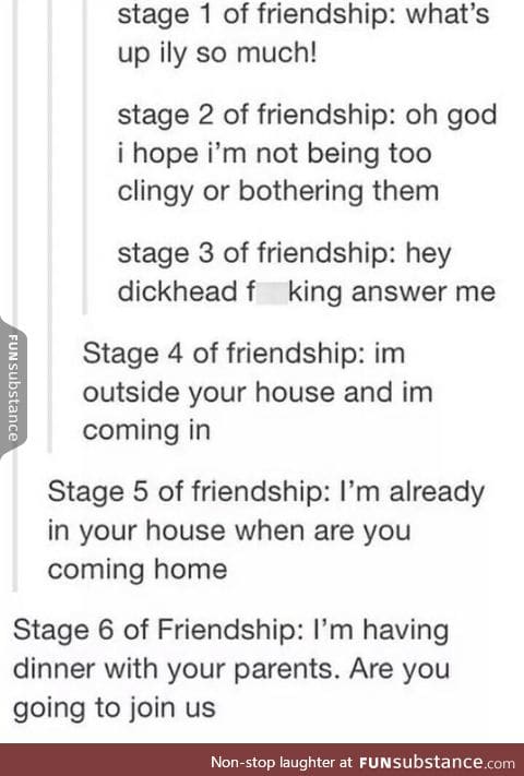 Stages of friendship