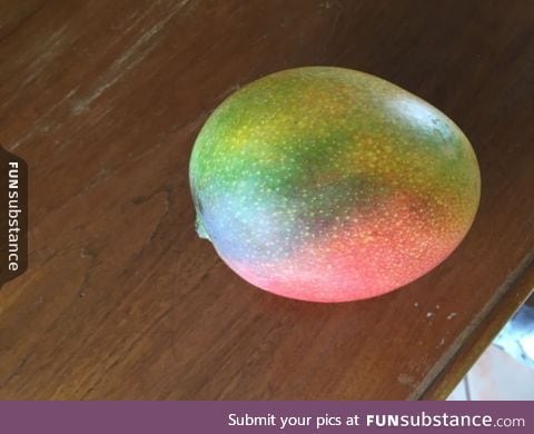 Multi colored mango