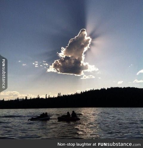 Perfect wolf cloud