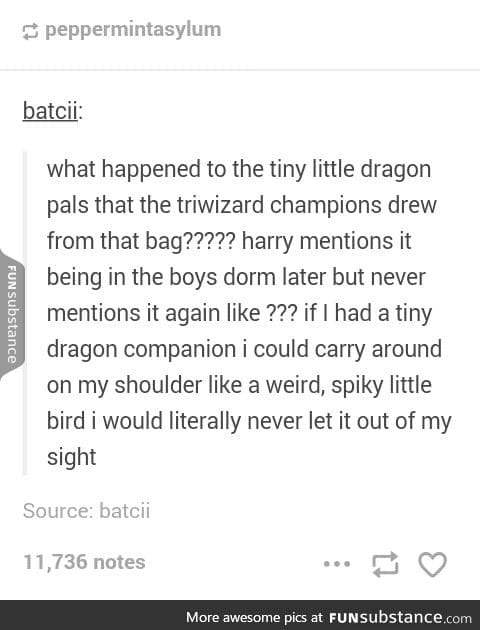 I want a pet dragon now