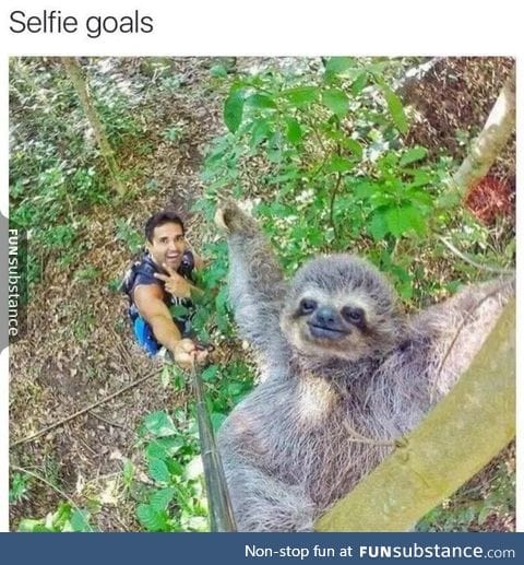 Selfie goals