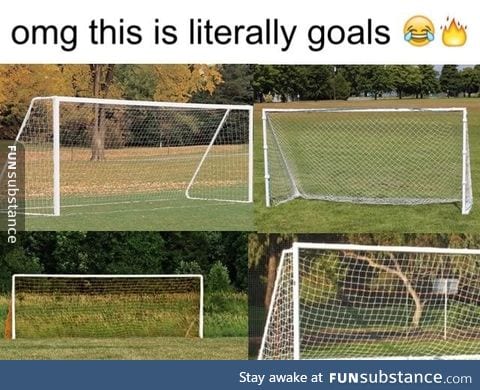 Literally goals