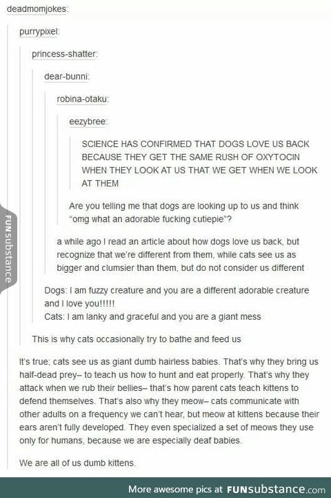 Dogs and Cats