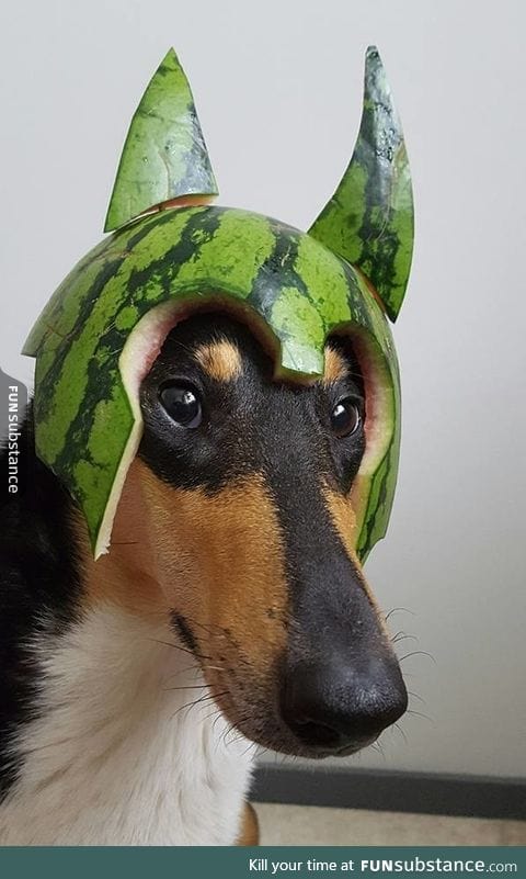 Melon collie