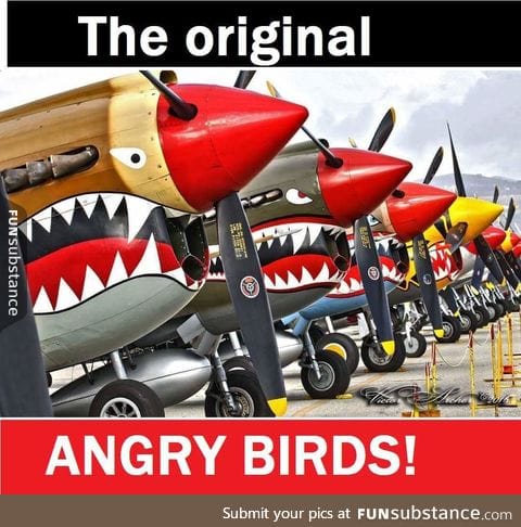 Angry war birds