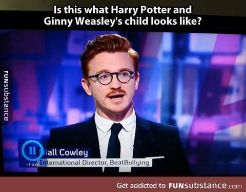 Probably Harry Potter's Illegitimate Son