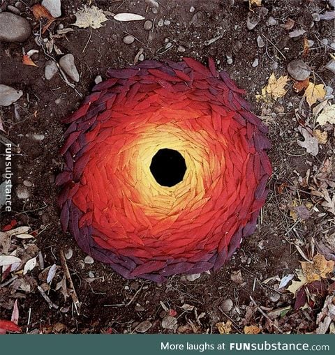 Andy goldsworthy, leaves