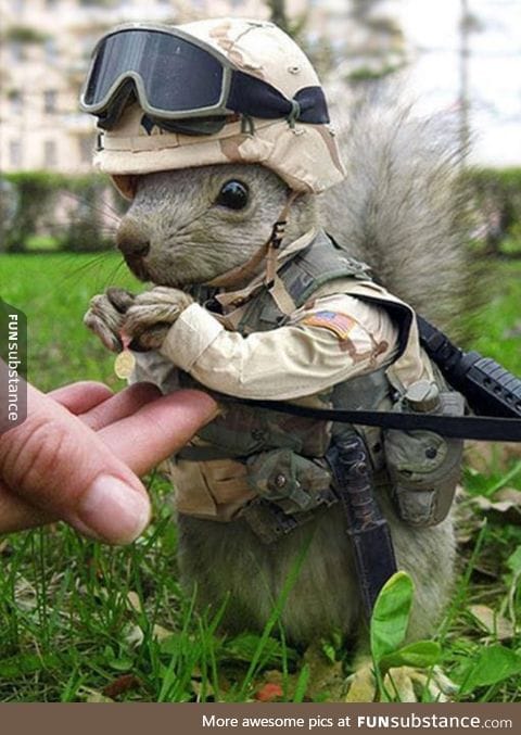 Googled "marine animals". Was not disappointed