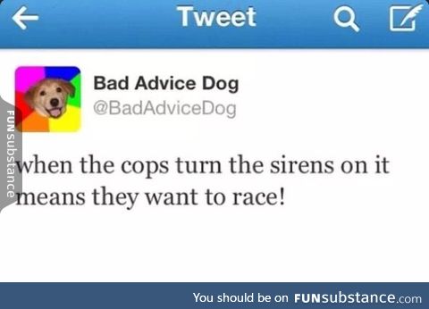 Bad Advice Dog back at it again