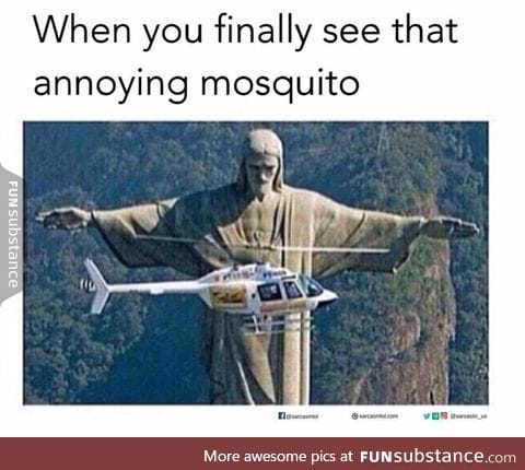 That annoying mosquito