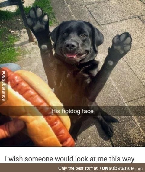 HOT DOG!