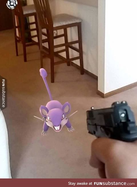 When you get sick of finding rattatas.