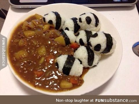 Delicious panda curry bum-rush
