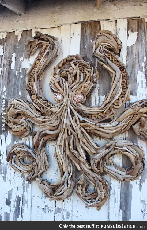 Driftwood octopus
