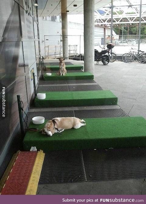 An IKEA in Germany has a "parking lot" for dogs, so they don't have to stay in the sun