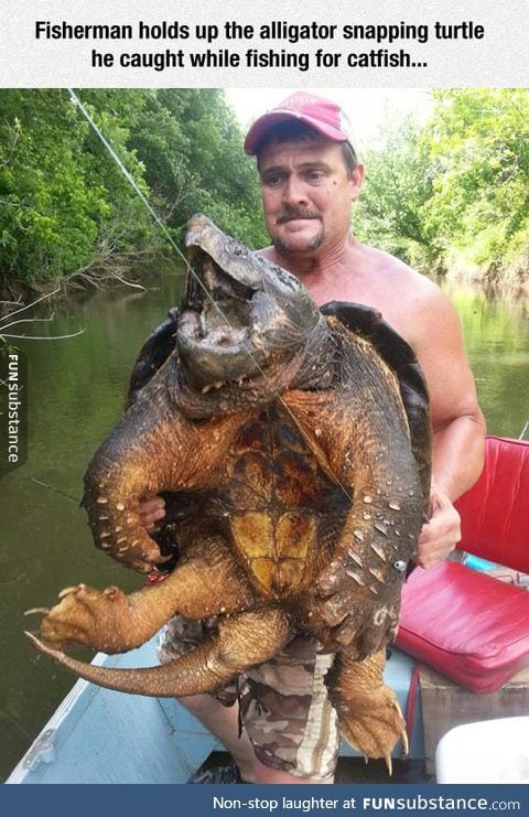 Real life bowser