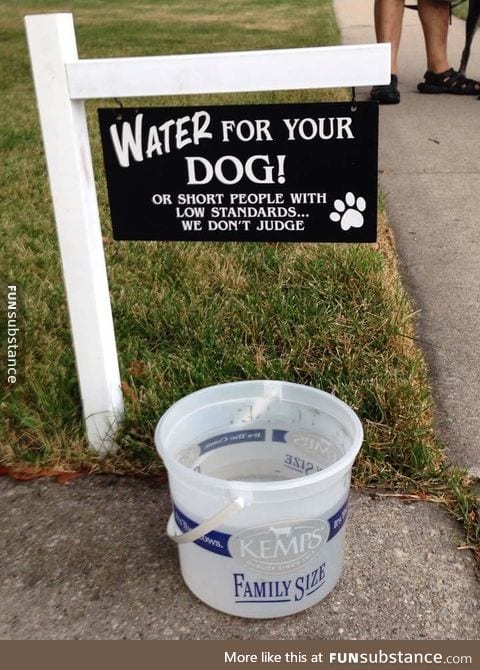 Water for your dog