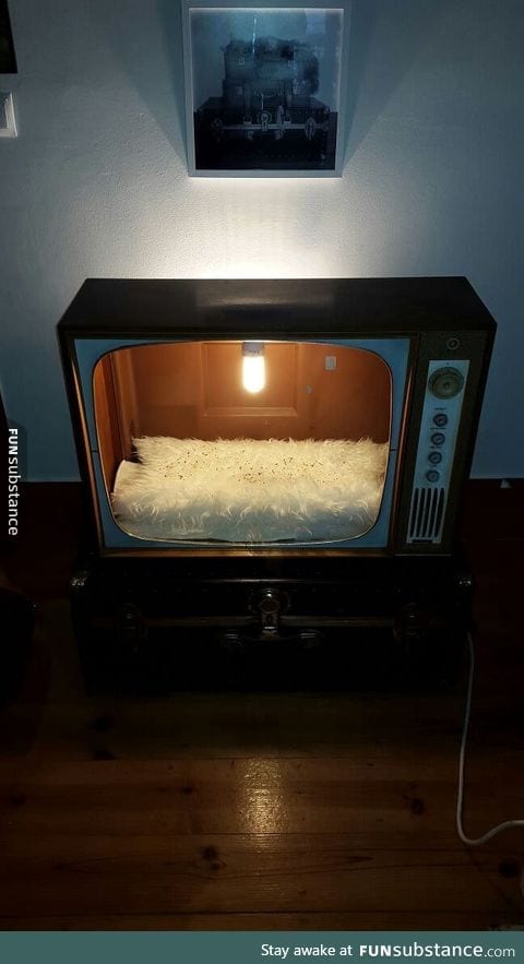 A cat bed made from an old TV