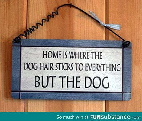 Dog owners will know