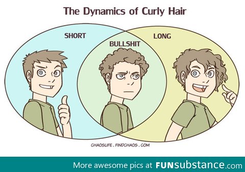 The dynamics of curly hair