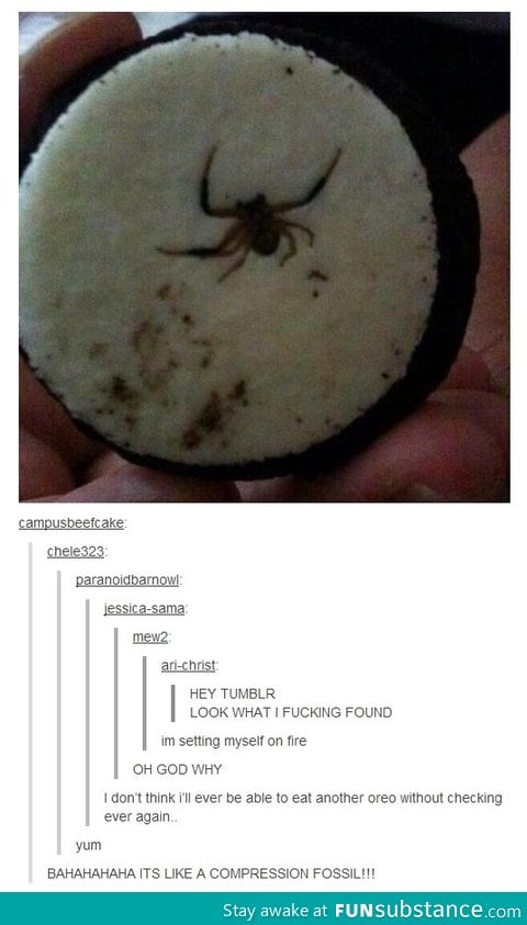 Fossil Oreo