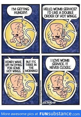 Womb service