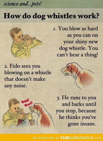 How dog whistles work