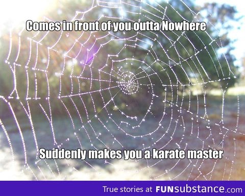 Karate Master