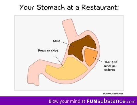 Stomach at a restaurant