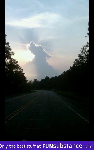 All dogs do go to heaven