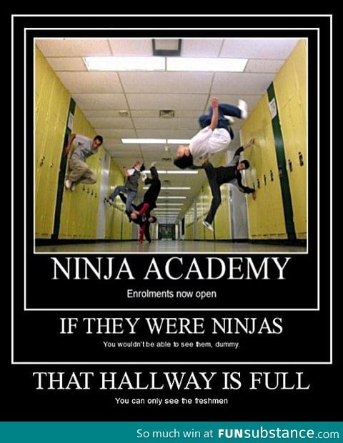 Ninja academy