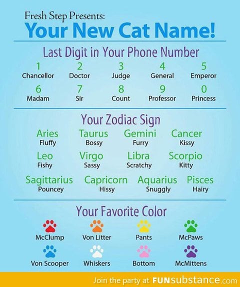 Your new cat name