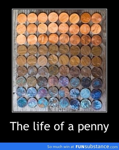 The life of a Penny