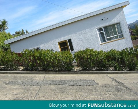 Baldwin St, New Zealand (steepest street in the world)