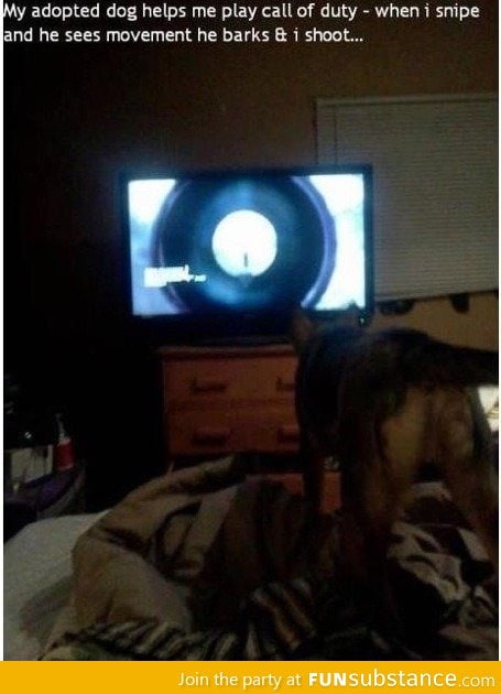 My adopted dog helps me call of duty