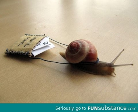 Snail Mail