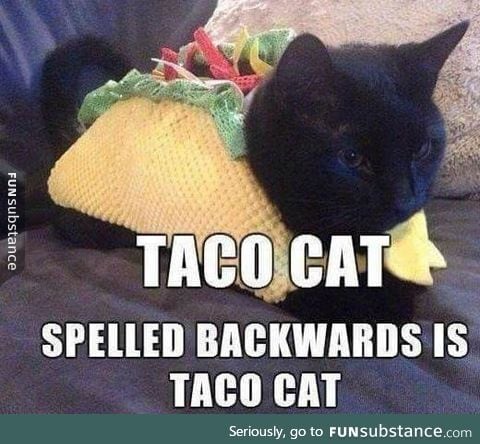 Taco cat is always Taco cat