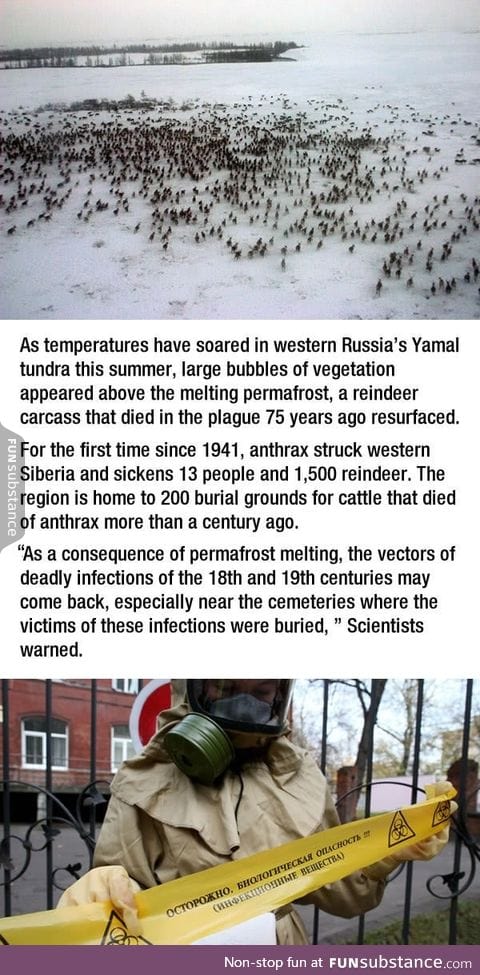 Siberia is dealing with an Anthrax outbreak because frozen life forms are thawing