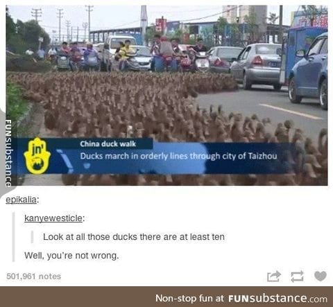 Ducks