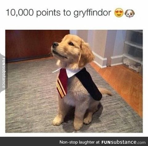 I'm Slytherin, but I'll give this to them