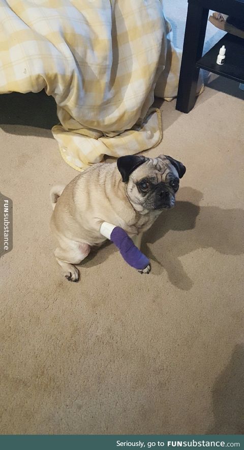 pugger has a pain :( get wel soon puger