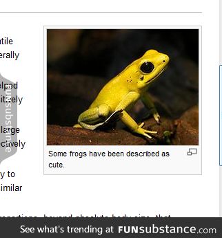 Wikipedia stoically acknowledges the cuteness of frogs